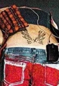 王菲的纹身  明星腰部黑色的翅膀纹身图片