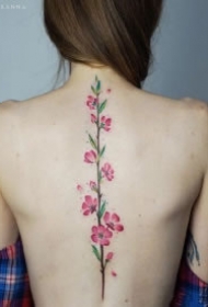 盛开在脊柱上的女生背部花朵纹身作品